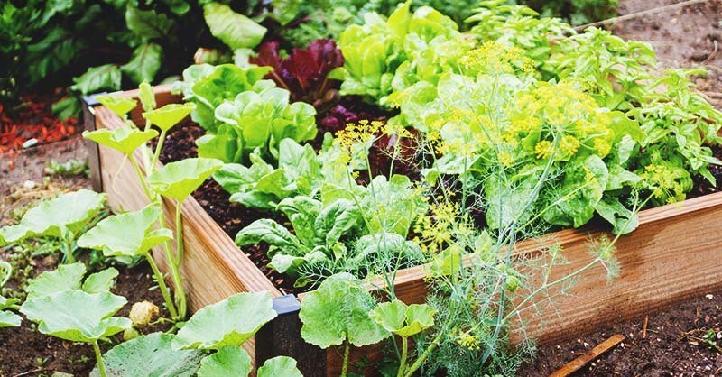 A bit of heat weather does no longer make it gardening season 1 A bit of heat weather does no longer make it gardening season 1