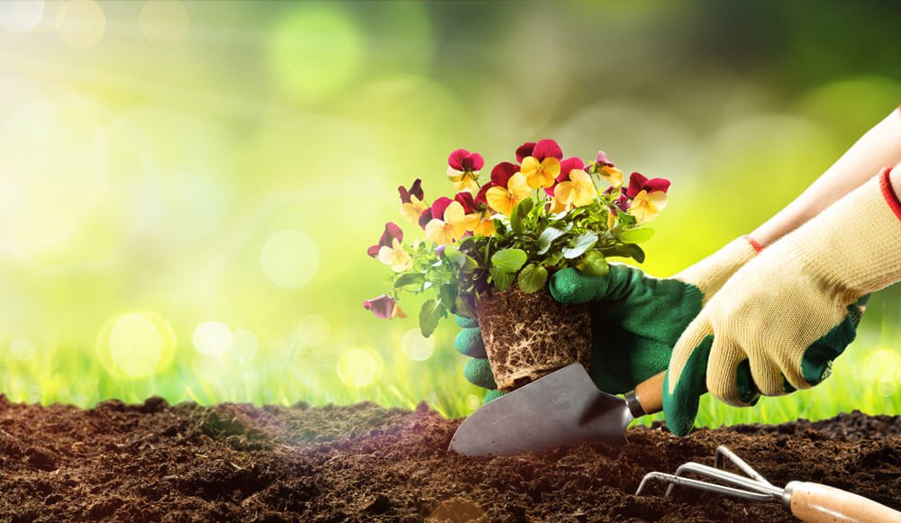 Punch List: Some phrases to assist along with your gardening 1 Punch List: Some phrases to assist along with your gardening 1