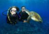 Global Diving Regulator Market 2019 Feature Scenario – Aqua Lung, Johnson Outdoors, Head, Poseidon, Tusa, American Underwater Products